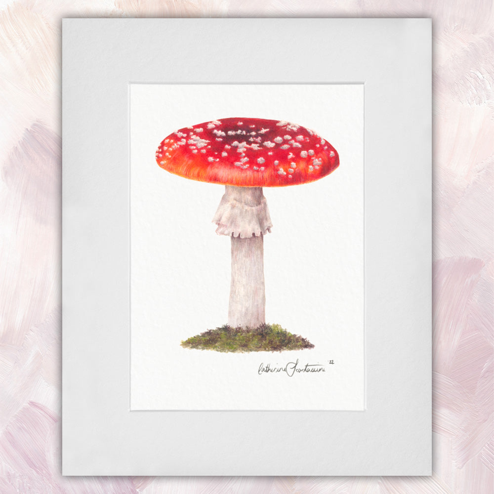 Toadstool