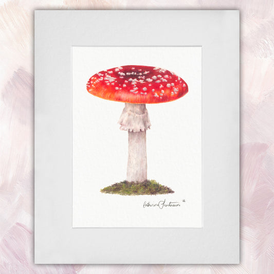 Toadstool Original