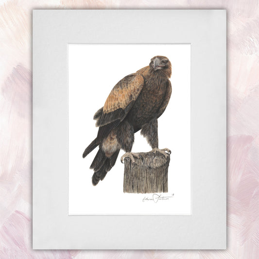 Wedge-tailed Eagle Original