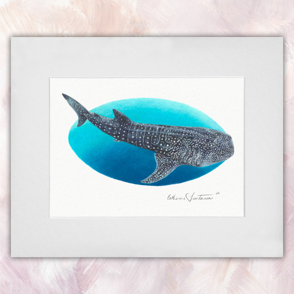 Whale Shark