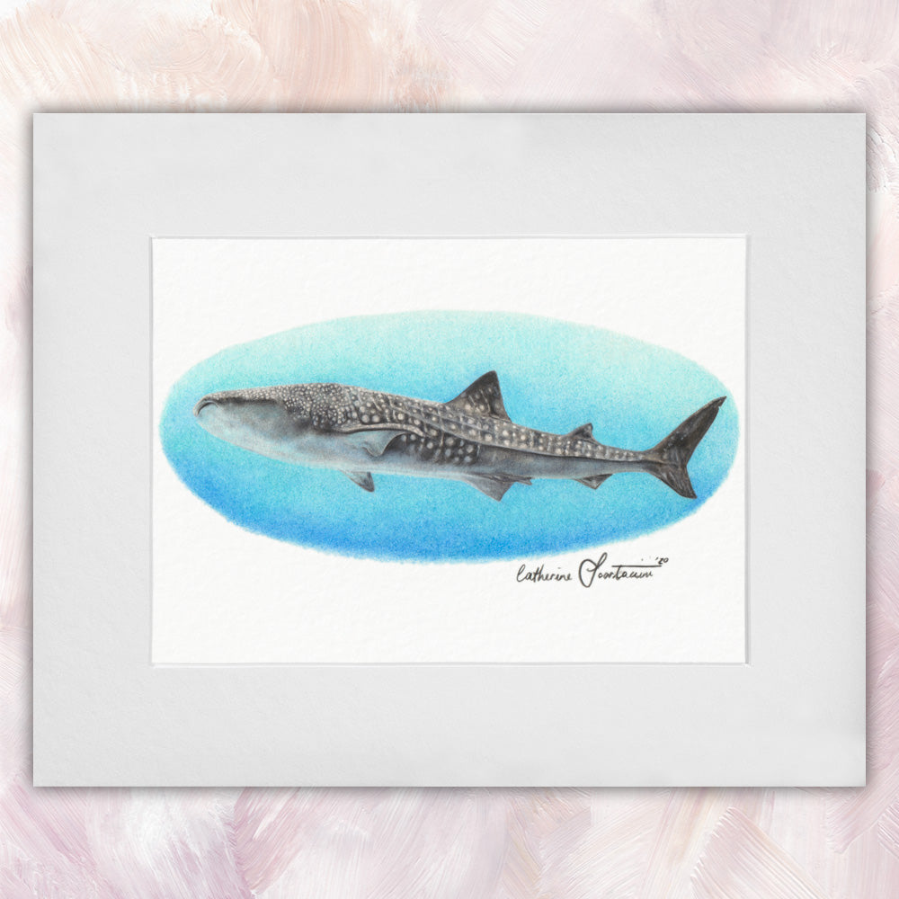 Whale Shark Original