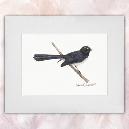 Willie Wagtail Original