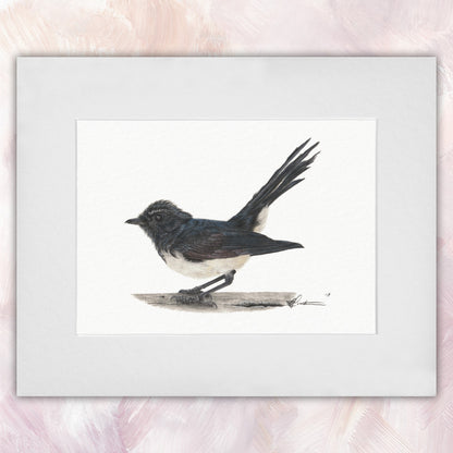 Willie Wagtail Original