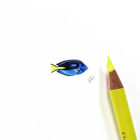 Blue tang miniature #1081
