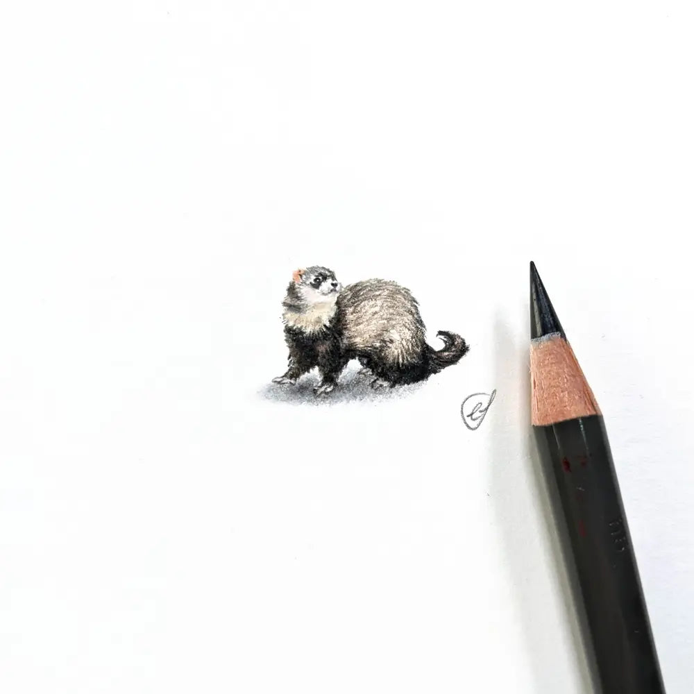 Ferret miniature #1086