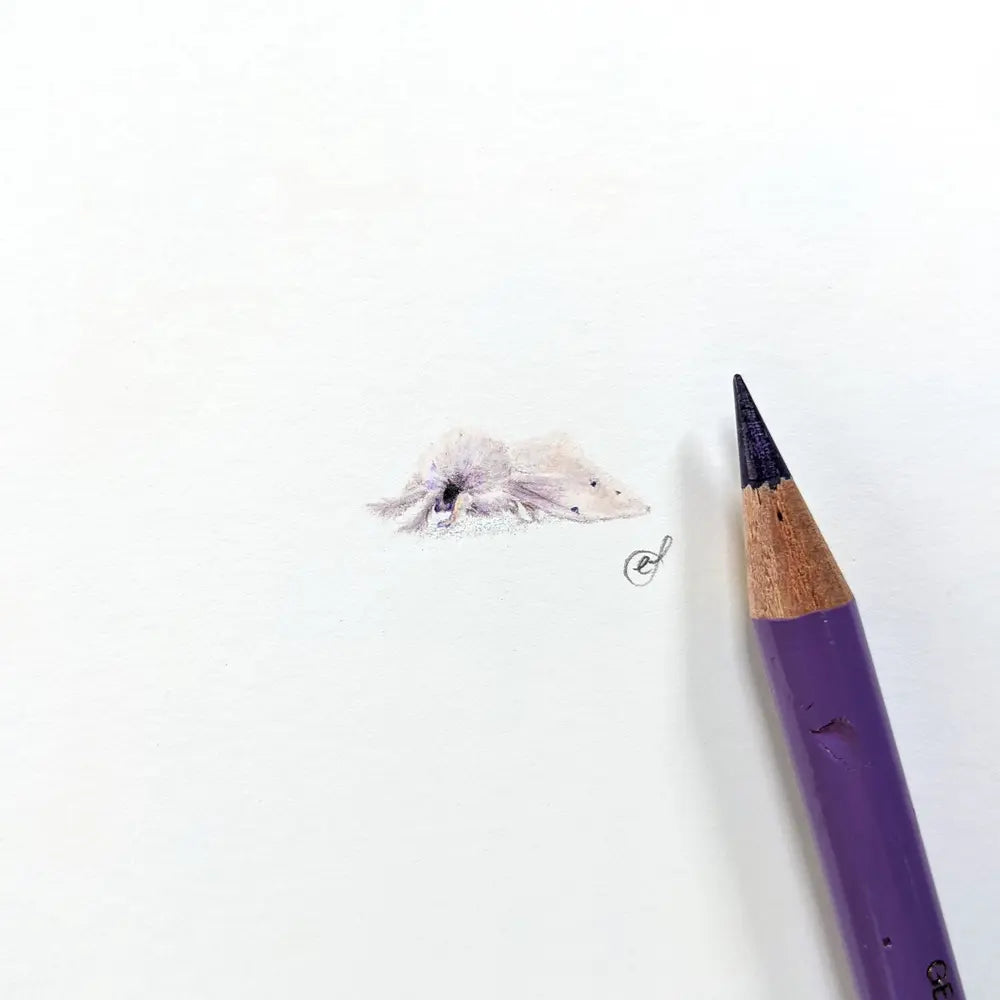 Moth miniature #1105