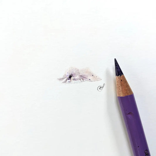 Moth miniature #1105
