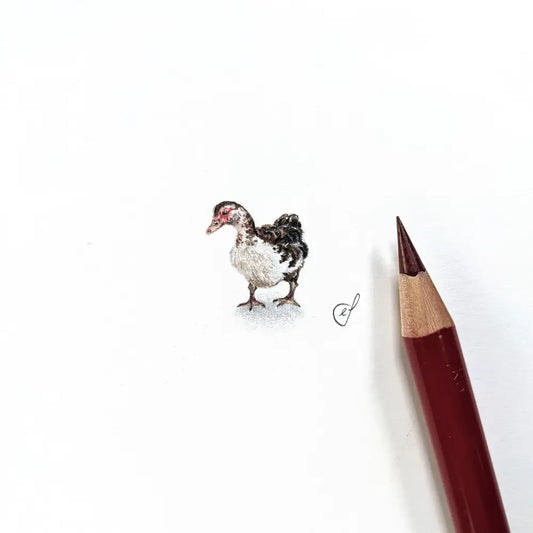 Duck miniature #1159
