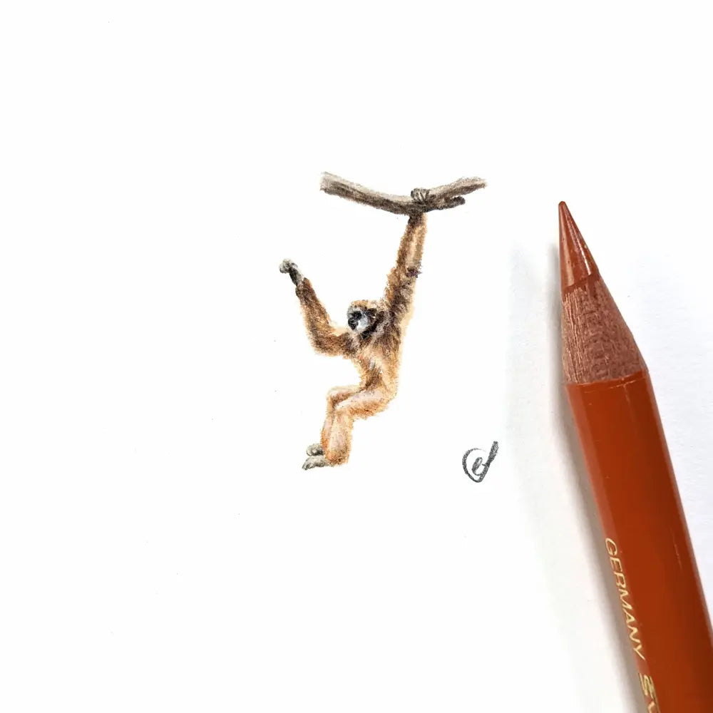 White-handed gibbon miniature #1273