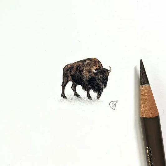 Bison miniature #1442