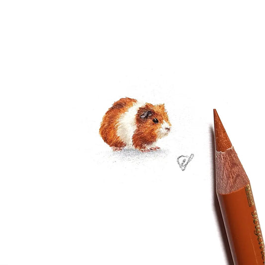 Guinea pig miniature #1747