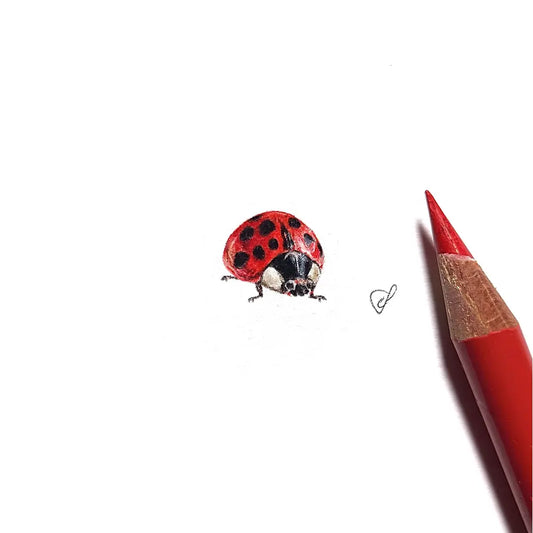 Ladybird miniature #1776