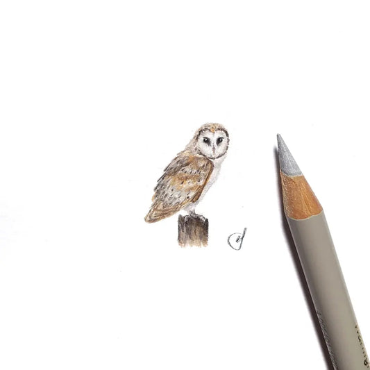 Barn owl miniature #1804