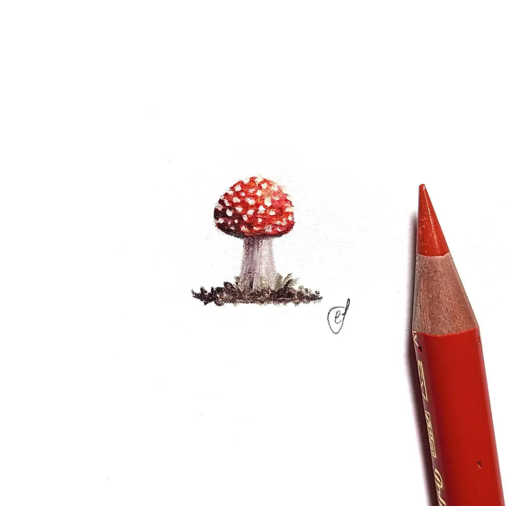 Toadstool miniature #1817