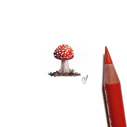 Toadstool miniature #1817