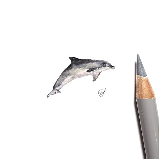 Bottlenose dolphin miniature #1840
