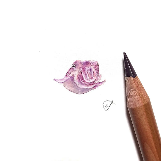 Cuttlefish miniature #1886