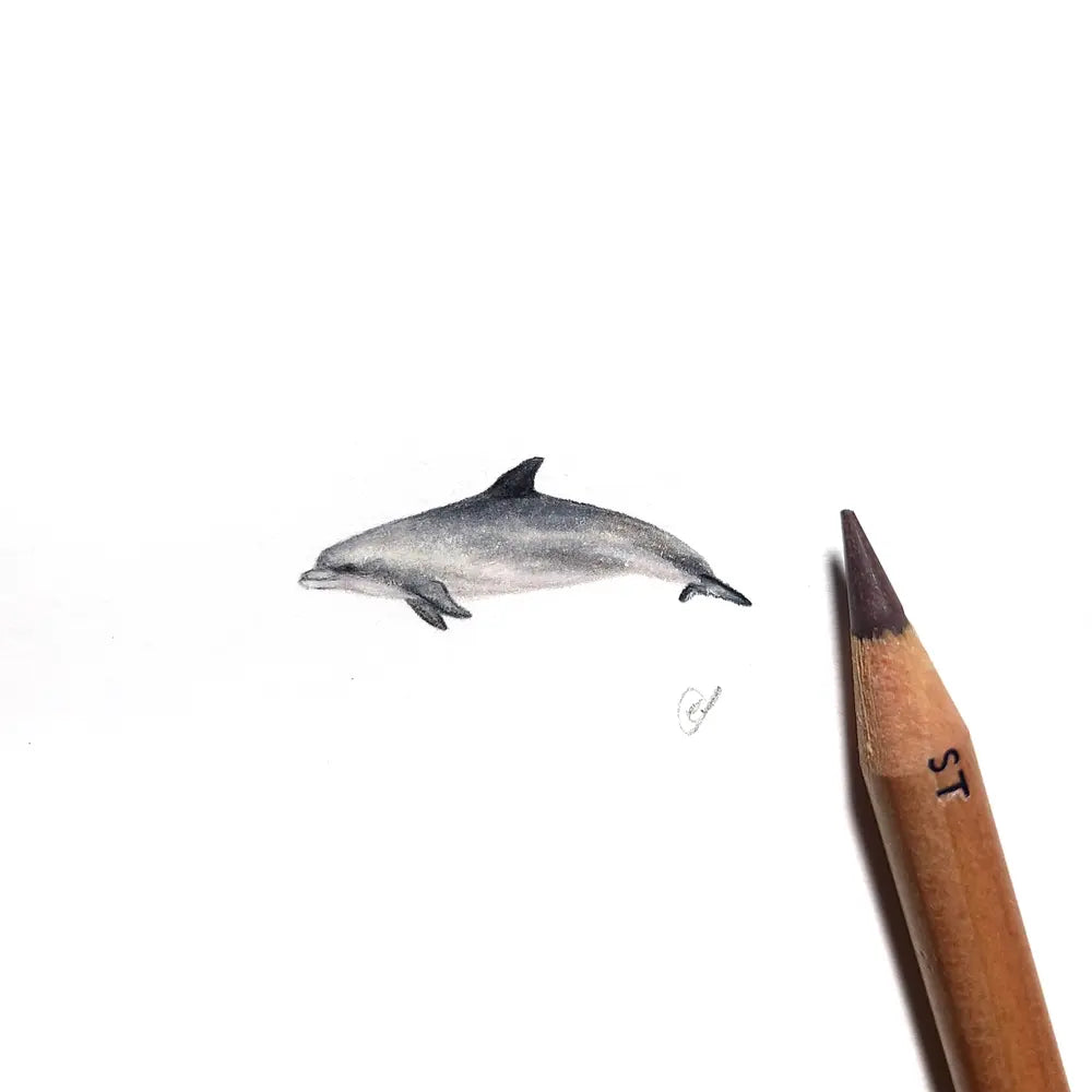 Bottlenose dolphin miniature #1941
