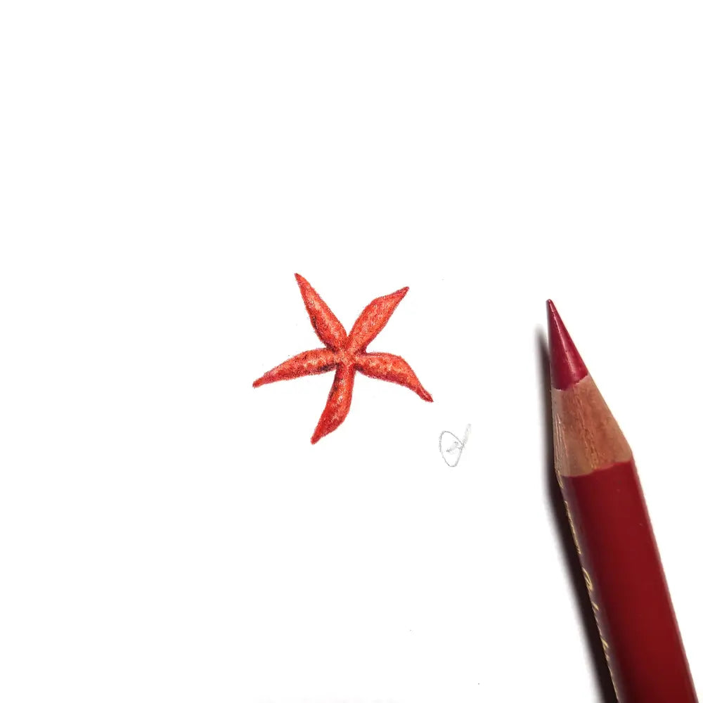 Starfish miniature #1954