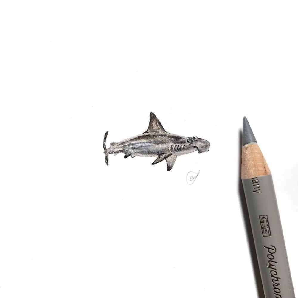Hammerhead shark miniature #1959
