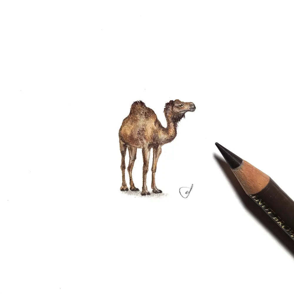 Dromedary miniature #2004