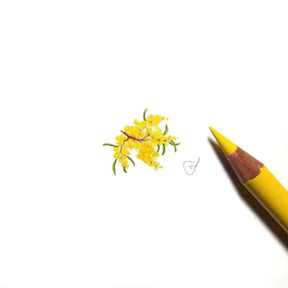 Wattle miniature #2006