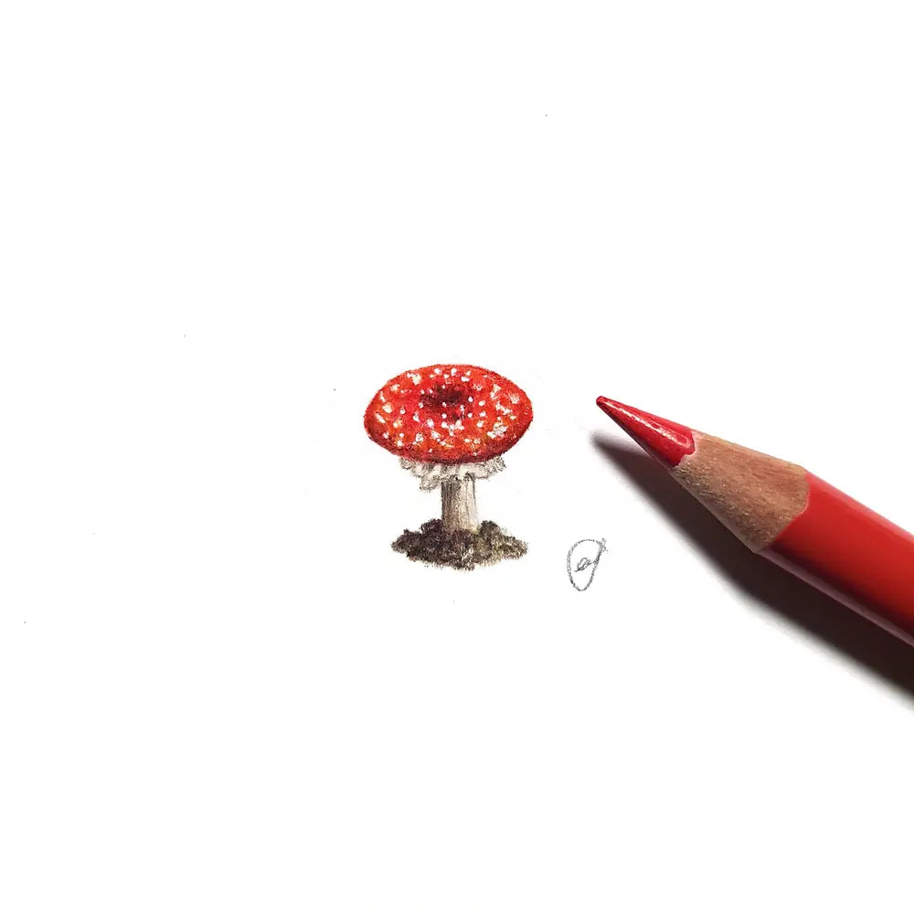Toadstool miniature #2018