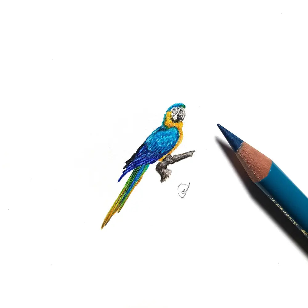 Macaw miniature #2021