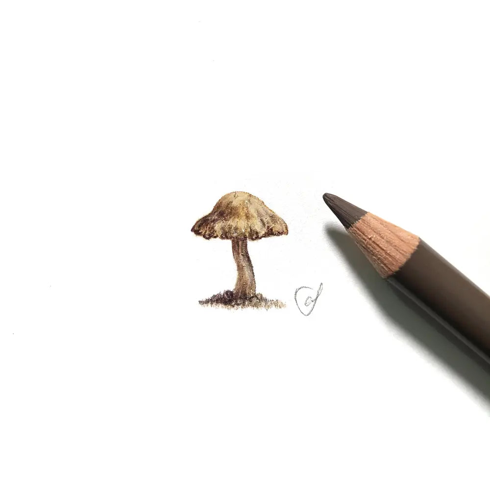 Mushroom miniature #2051