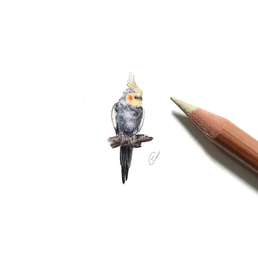 Cockatiel miniature #2059