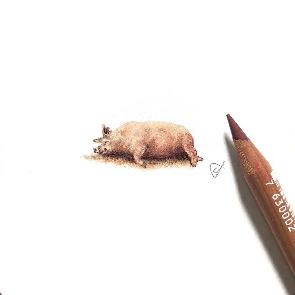 Pig miniature #2117
