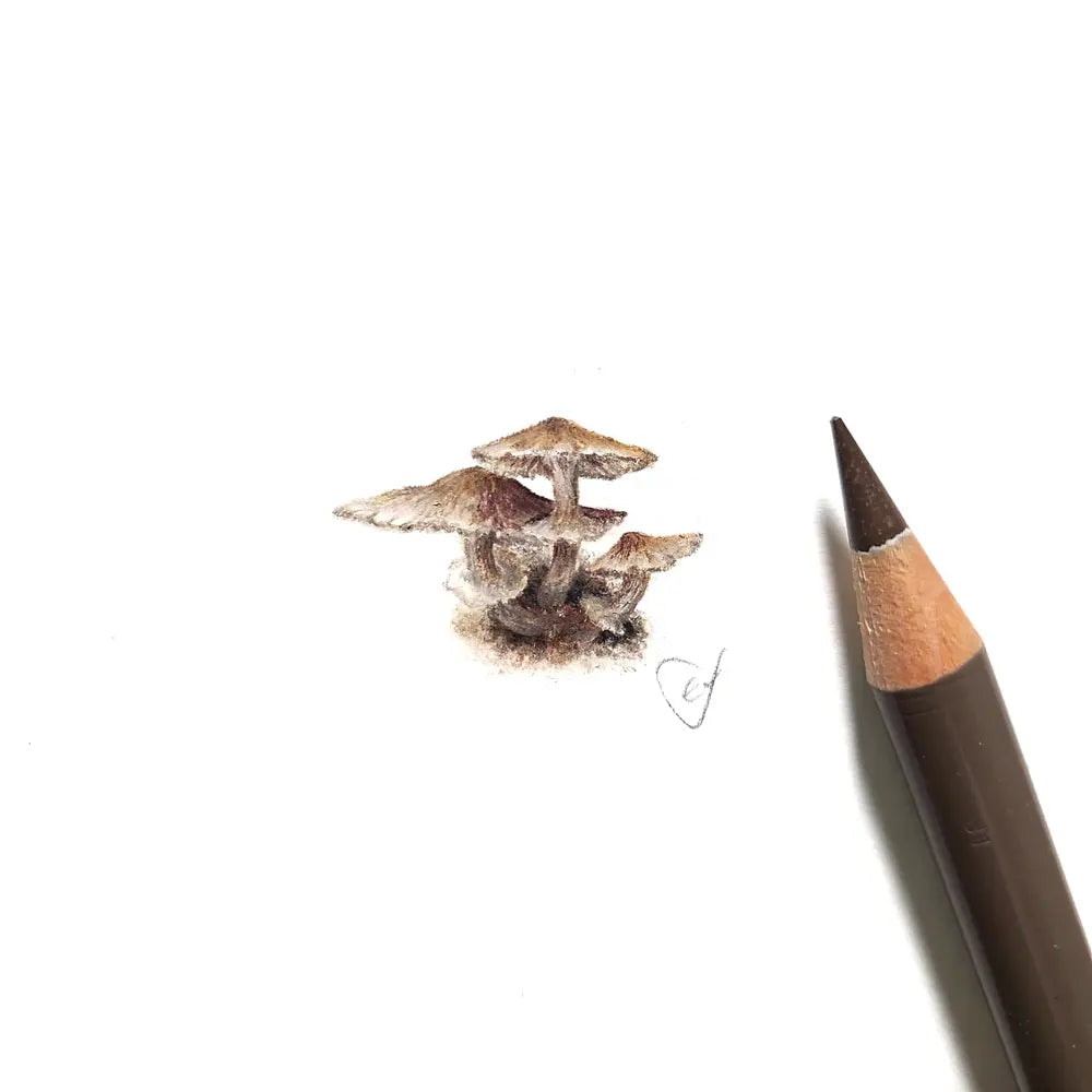 Mushroom miniature #2142