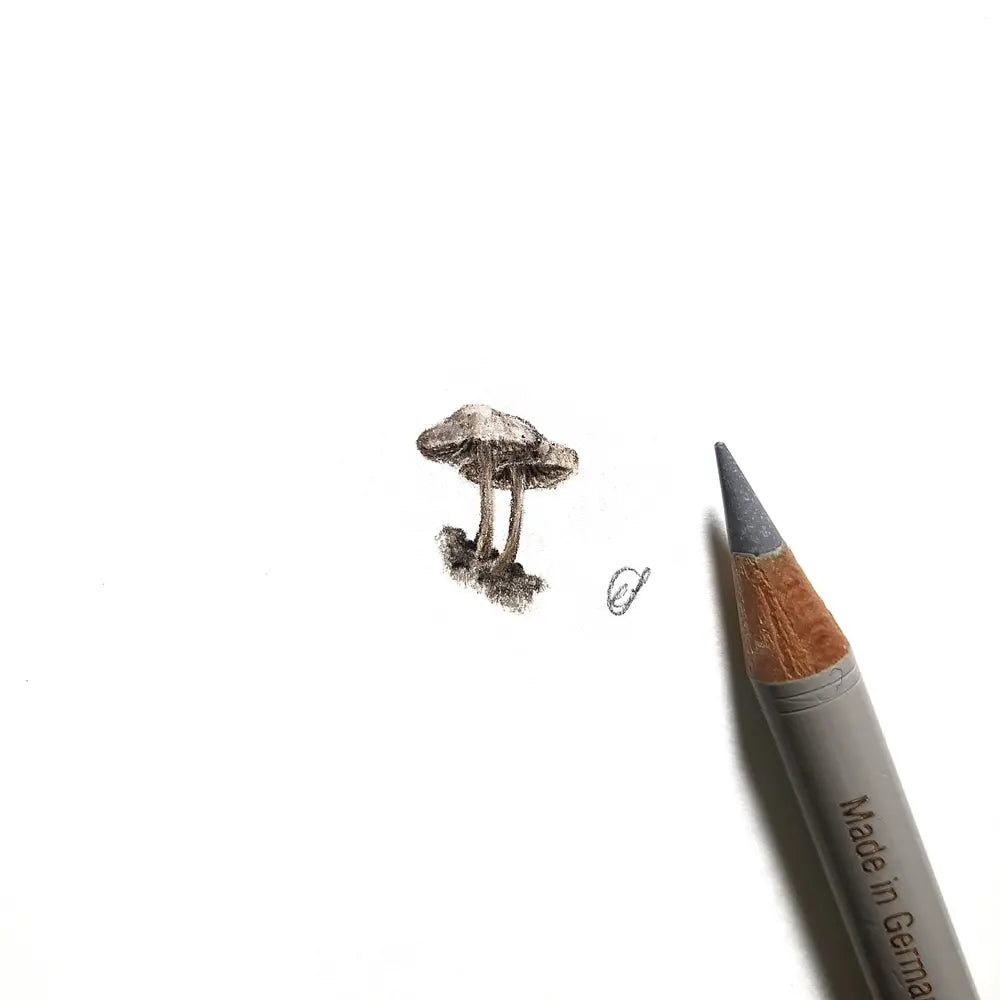 Mushroom miniature #2145