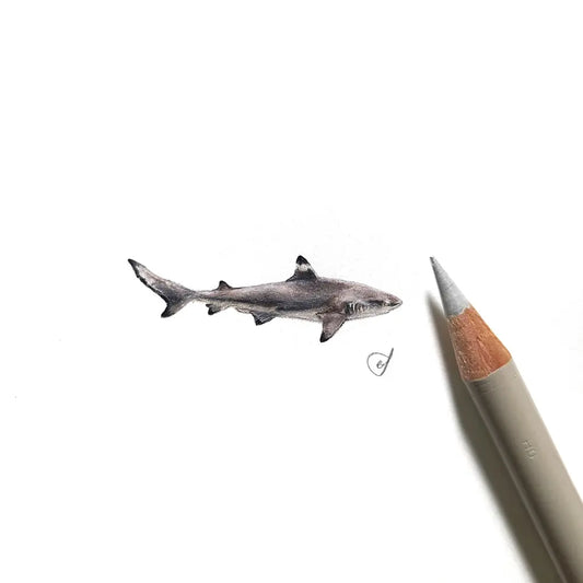 Shark miniature #2161