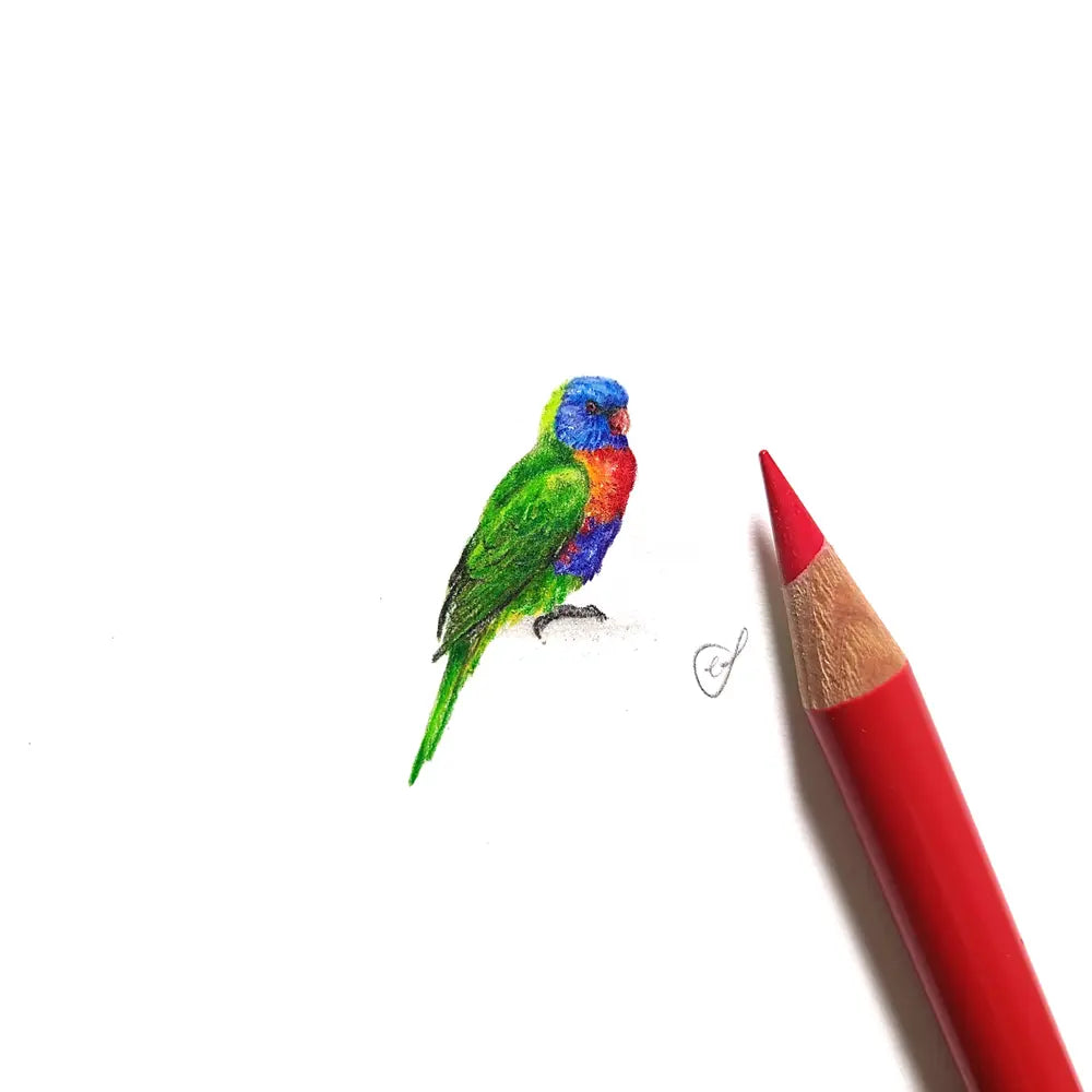 Rainbow lorikeet miniature #2175