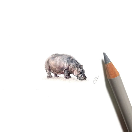 Hippopotamus miniature #2177