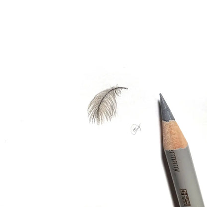 Splendid Fairywren feather miniature #2214