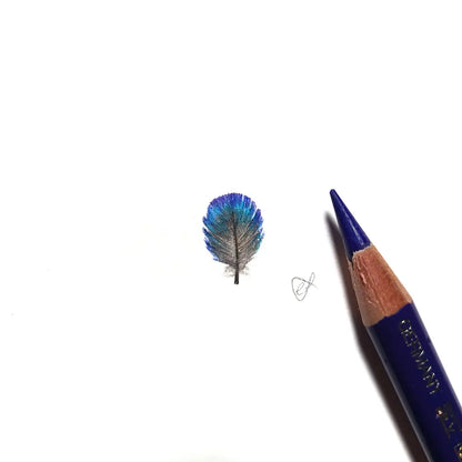 Splendid Fairywren feather miniature #2215