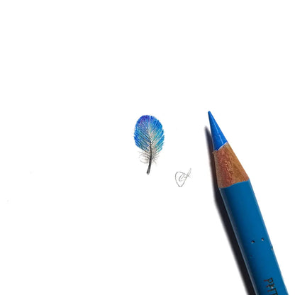 Splendid Fairywren feather miniature #2217
