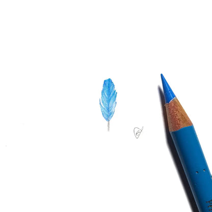 Splendid Fairywren feather miniature #2218