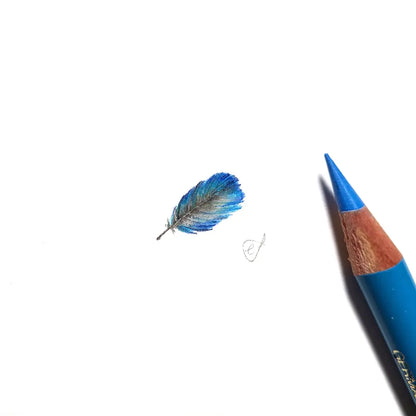 Splendid Fairywren feather miniature #2220