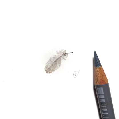 Splendid Fairywren feather miniature #2221