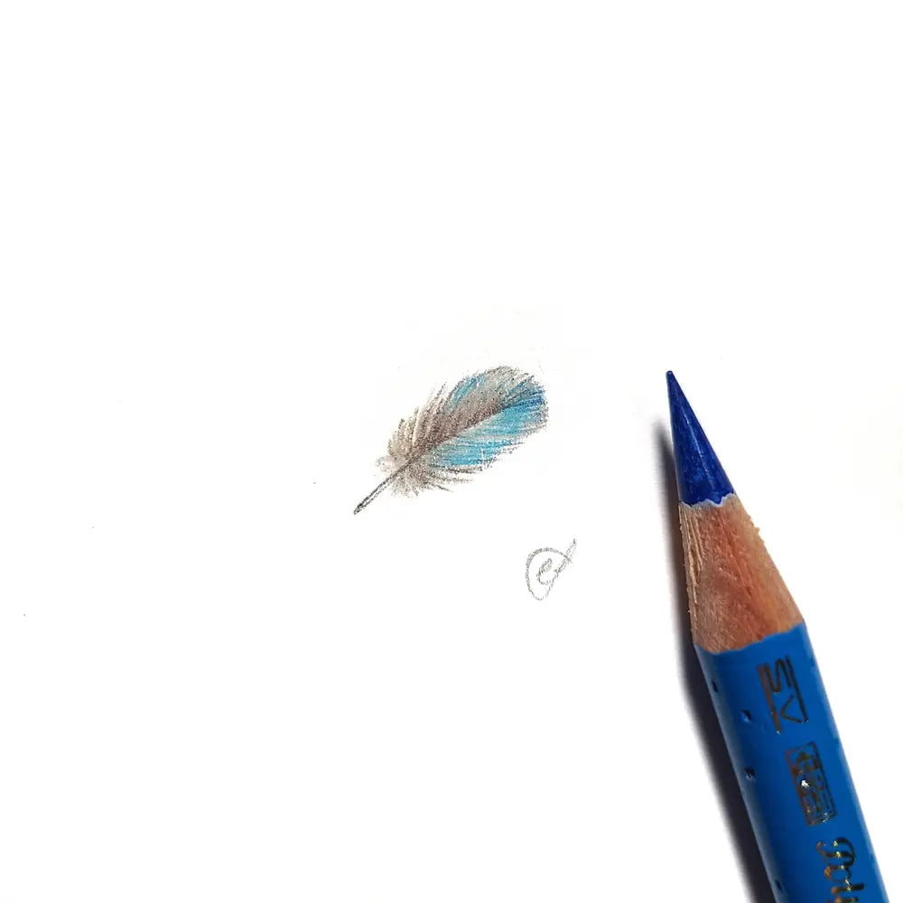 Splendid Fairywren feather miniature #2222
