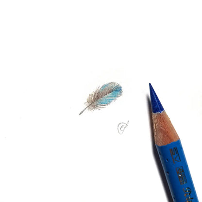 Splendid Fairywren feather miniature #2222