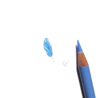 Splendid Fairywren feather miniature #2223