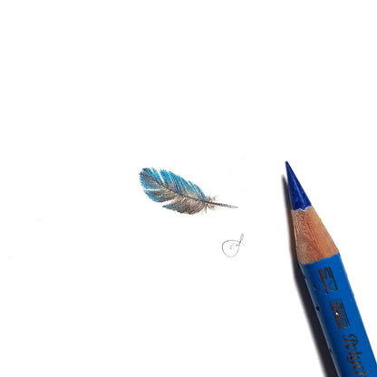 Splendid Fairywren feather miniature #2224