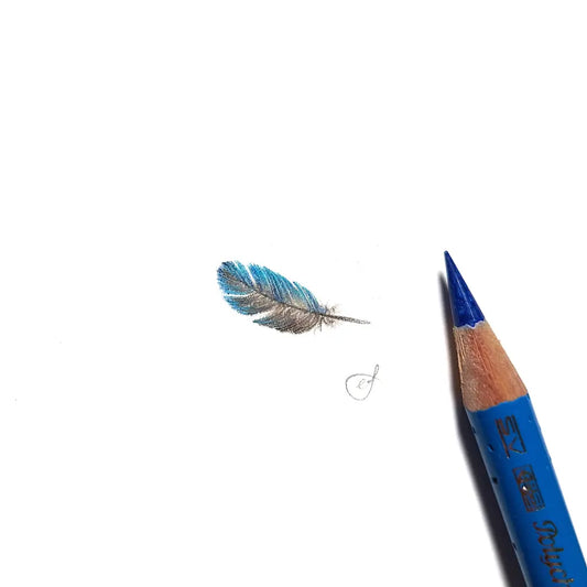 Splendid Fairywren feather miniature #2224