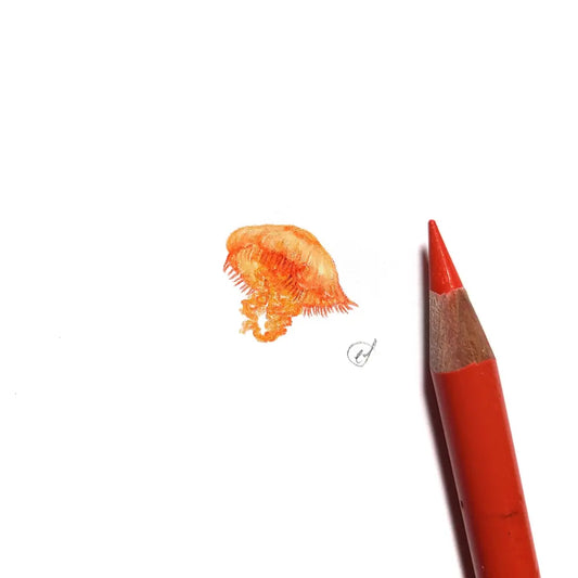 Jellyfish miniature #2237