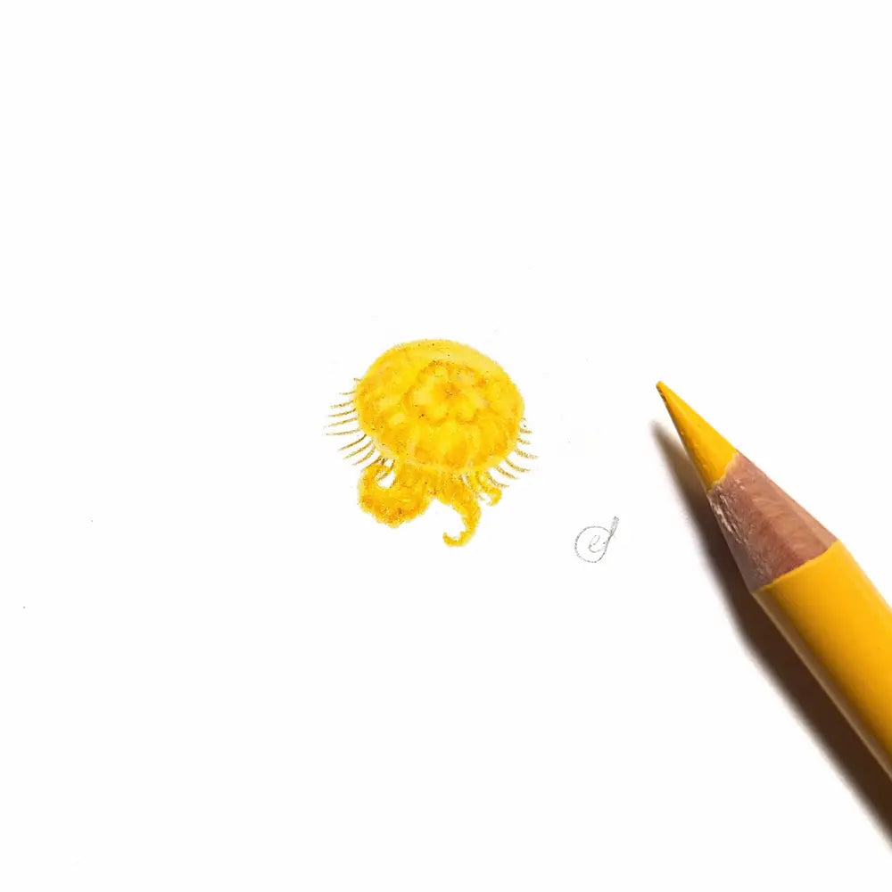 Jellyfish miniature #2238