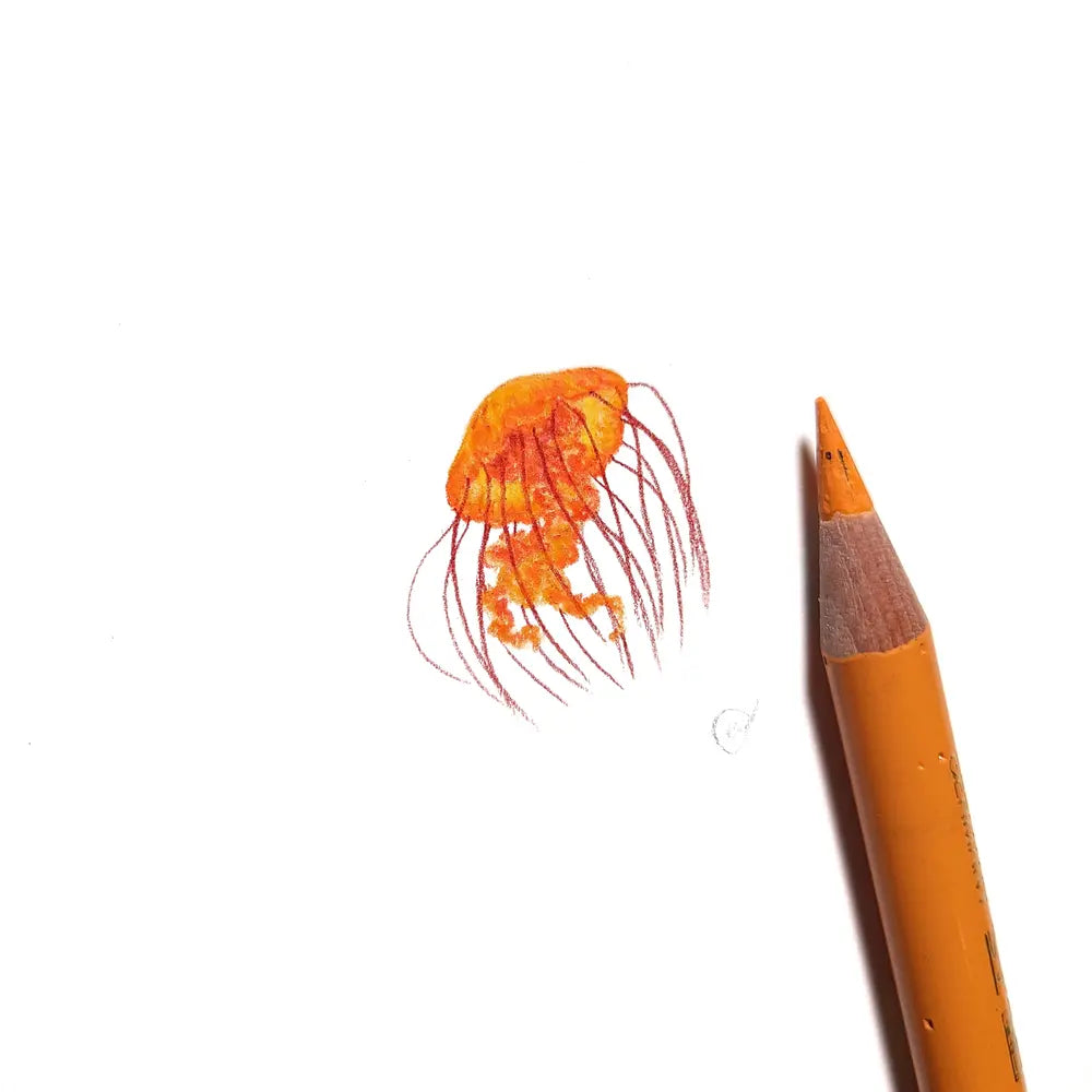 Jellyfish miniature #2242